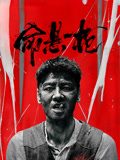 命悬一枪海报